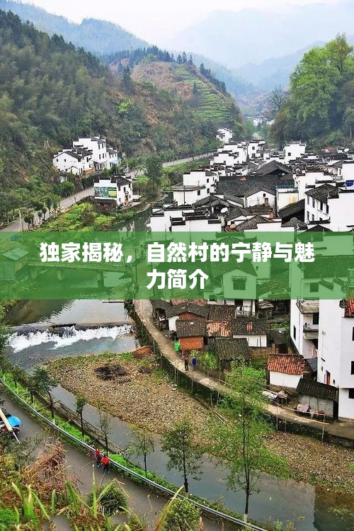 獨家揭秘，自然村的寧靜與魅力簡介