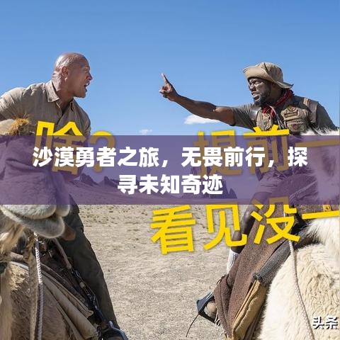沙漠勇者之旅，無畏前行，探尋未知奇跡