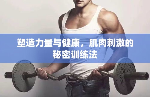 塑造力量與健康，肌肉刺激的秘密訓練法