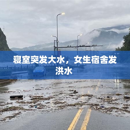 臼灶生蛙 第2頁