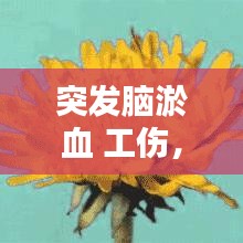 突發(fā)腦淤血 工傷，腦淤血算幾級傷殘 