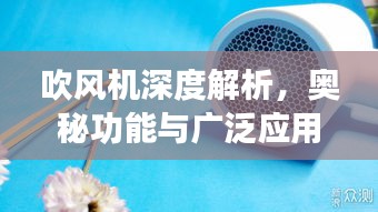 吹風機深度解析，奧秘功能與廣泛應用探索