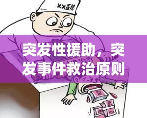 突發(fā)性援助，突發(fā)事件救治原則 