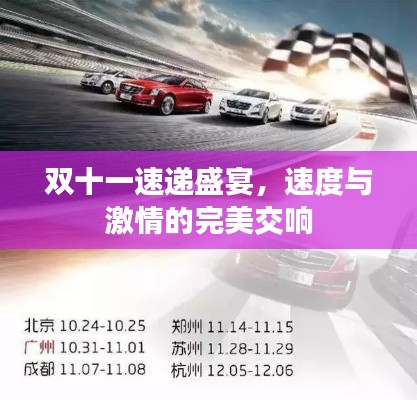 雙十一速遞盛宴，速度與激情的完美交響