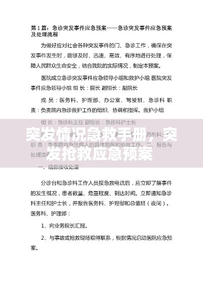 突發(fā)情況急救手冊，突發(fā)搶救應(yīng)急預(yù)案 
