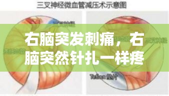右腦突發(fā)刺痛，右腦突然針扎一樣疼 