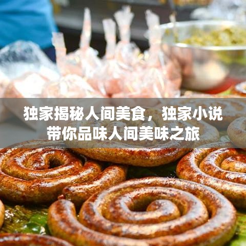 獨(dú)家揭秘人間美食，獨(dú)家小說帶你品味人間美味之旅
