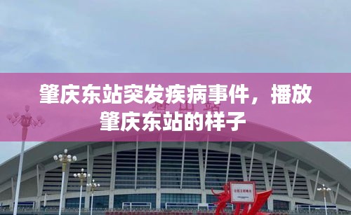 肇慶東站突發(fā)疾病事件，播放肇慶東站的樣子 