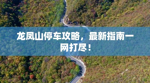 龍鳳山停車攻略，最新指南一網(wǎng)打盡！