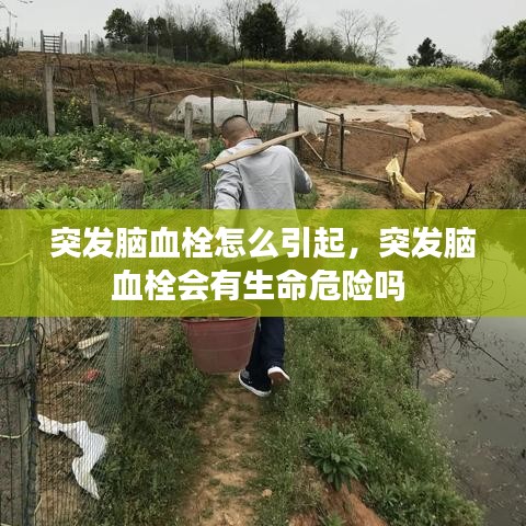 突發(fā)腦血栓怎么引起，突發(fā)腦血栓會(huì)有生命危險(xiǎn)嗎 