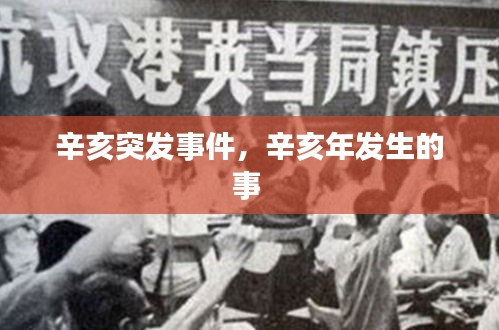 辛亥突發(fā)事件，辛亥年發(fā)生的事 