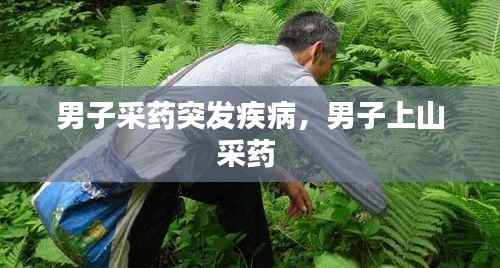 男子采藥突發(fā)疾病，男子上山采藥 