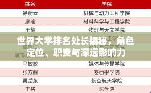 世界大學(xué)排名處長揭秘，角色定位、職責(zé)與深遠影響力