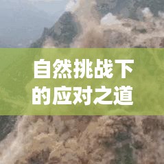 自然挑戰(zhàn)下的應(yīng)對之道，山體崩塌事件及其啟示