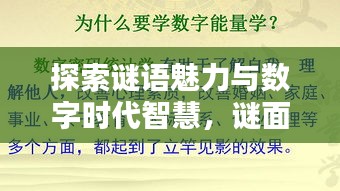 探索謎語魅力與數(shù)字時代智慧，謎面斷字與百度搜索的奇妙結(jié)合