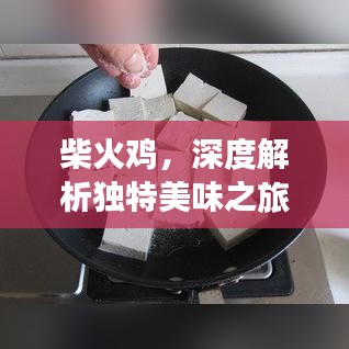 柴火雞，深度解析獨(dú)特美味之旅
