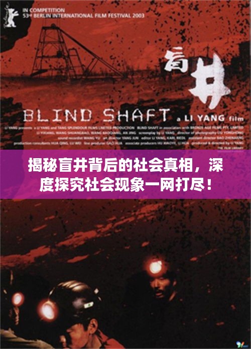 揭秘盲井背后的社會真相，深度探究社會現(xiàn)象一網(wǎng)打盡！
