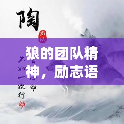 狼的團(tuán)隊精神，勵志語錄激發(fā)無限潛能