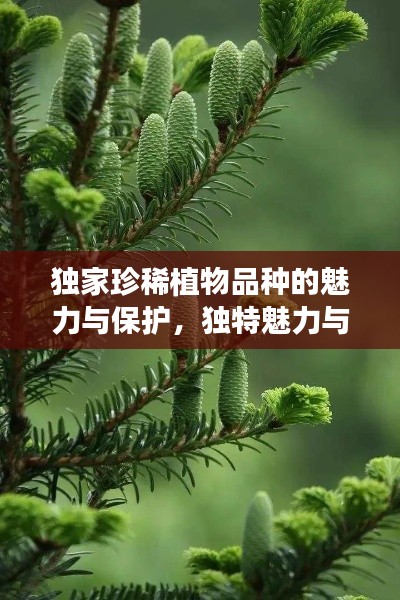 獨(dú)家珍稀植物品種的魅力與保護(hù)，獨(dú)特魅力與院外品種探秘