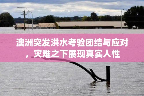 澳洲突發(fā)洪水考驗(yàn)團(tuán)結(jié)與應(yīng)對(duì)，災(zāi)難之下展現(xiàn)真實(shí)人性