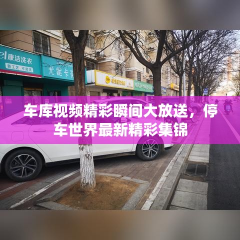 車庫視頻精彩瞬間大放送，停車世界最新精彩集錦