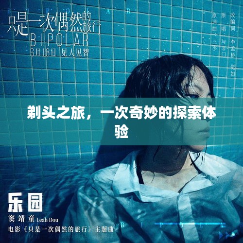 剃頭之旅，一次奇妙的探索體驗(yàn)