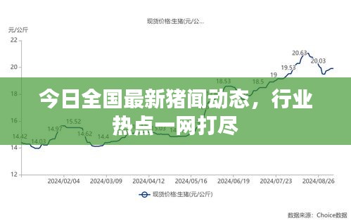 今日全國最新豬聞動態(tài)，行業(yè)熱點一網打盡