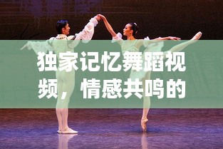 獨(dú)家記憶舞蹈視頻，情感共鳴的絕美舞動(dòng)