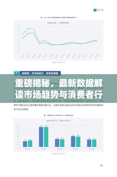 重磅揭秘，最新數(shù)據(jù)解讀市場趨勢與消費者行為，2024以舊換新趨勢分析