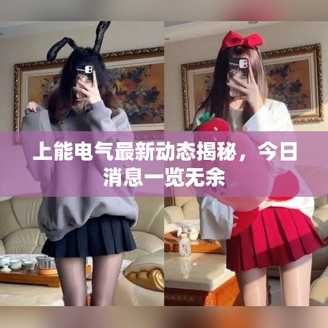 上能電氣最新動態(tài)揭秘，今日消息一覽無余