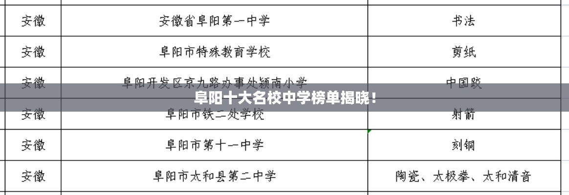 阜陽十大名校中學(xué)榜單揭曉！