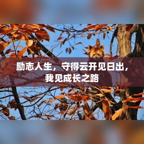 勵(lì)志人生，守得云開(kāi)見(jiàn)日出，我見(jiàn)成長(zhǎng)之路