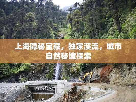 上海隱秘寶藏，獨(dú)家溪流，城市自然秘境探索