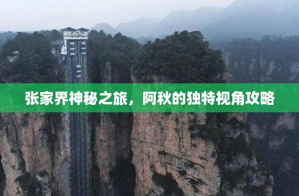 張家界神秘之旅，阿秋的獨特視角攻略