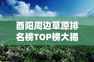 酉陽周邊草原排名榜TOP榜大揭秘！最新排名榜單來襲！