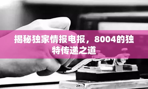 揭秘獨家情報電報，8004的獨特傳遞之道