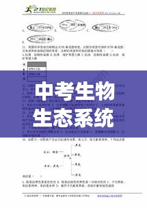 中考生物生態(tài)系統(tǒng)深度解析，專題解讀與知識要點梳理