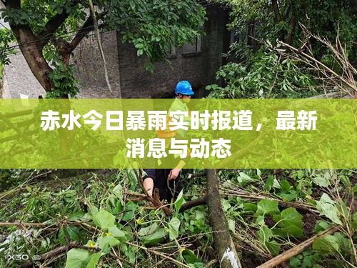 赤水今日暴雨實時報道，最新消息與動態(tài)