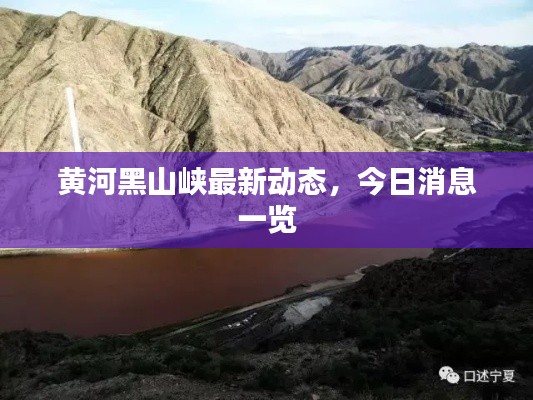 黃河黑山峽最新動(dòng)態(tài)，今日消息一覽