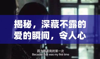 揭秘，深藏不露的愛的瞬間，令人心動不已！
