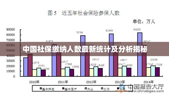 中國社保繳納人數(shù)最新統(tǒng)計(jì)及分析揭秘