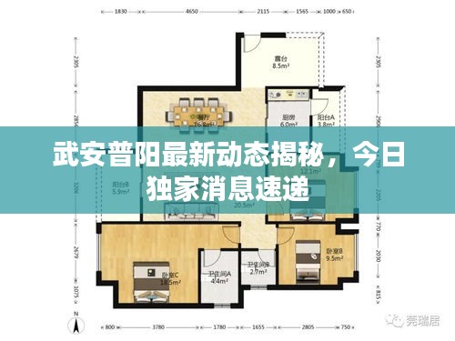 武安普陽最新動態(tài)揭秘，今日獨家消息速遞
