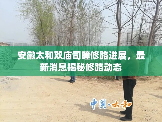 安徽太和雙廟司疃修路進展，最新消息揭秘修路動態(tài)