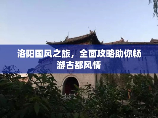 洛陽國風之旅，全面攻略助你暢游古都風情