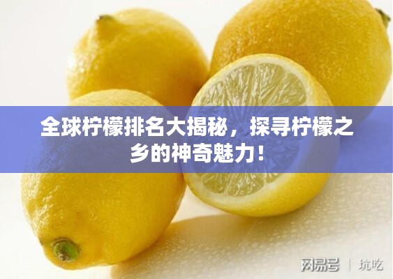 全球檸檬排名大揭秘，探尋檸檬之鄉(xiāng)的神奇魅力！