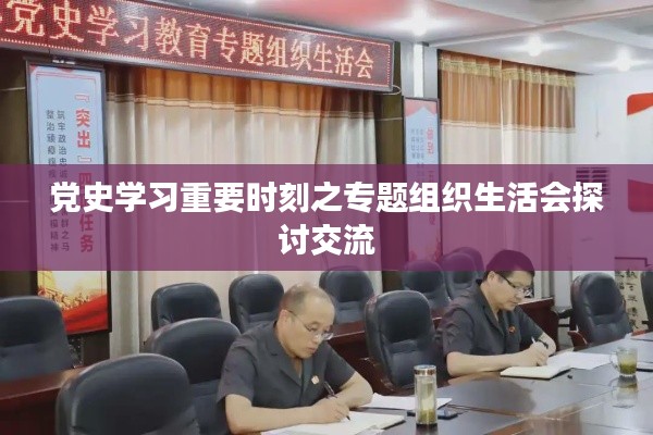 黨史學(xué)習(xí)重要時(shí)刻之專題組織生活會(huì)探討交流
