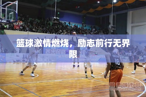 籃球激情燃燒，勵(lì)志前行無(wú)界限