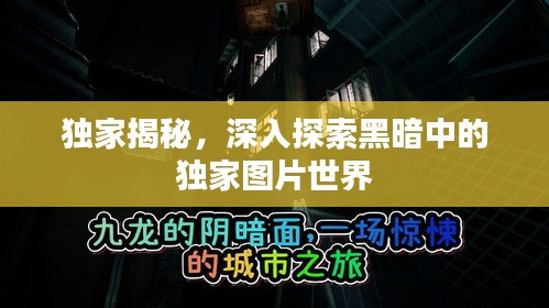 獨(dú)家揭秘，深入探索黑暗中的獨(dú)家圖片世界