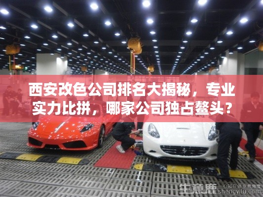 西安改色公司排名大揭秘，專業(yè)實(shí)力比拼，哪家公司獨(dú)占鰲頭？