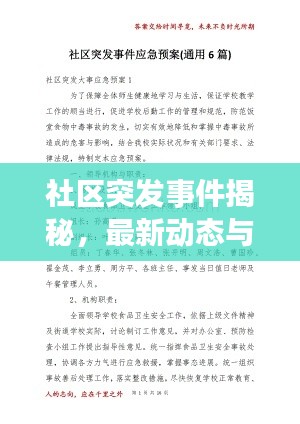 社區(qū)突發(fā)事件揭秘，最新動(dòng)態(tài)與應(yīng)對(duì)舉措一網(wǎng)打盡！
